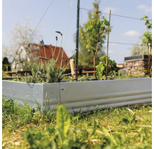 Hochbeet mit Pflanzen im Garten