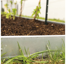 Hochbeet mit Pflanzen und Erde im Garten