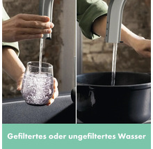 Wasserhahn mit gefiltertem und ungefiltertem Wasser