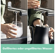 Wasserhahn mit gefiltertem und ungefiltertem Wasser