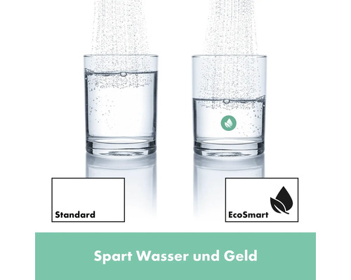 Vergleich von Wasserverbrauch mit Standard und EcoSmart