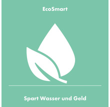 EcoSmart Symbol: Wassersparen und Geld sparen