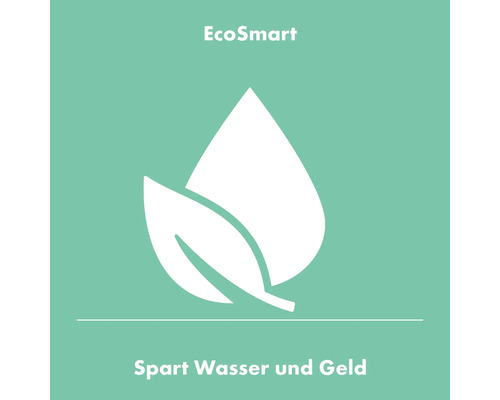 EcoSmart Symbol: Wassersparen und Geld sparen