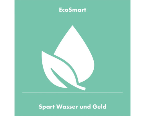 EcoSmart Symbol: Spart Wasser und Geld
