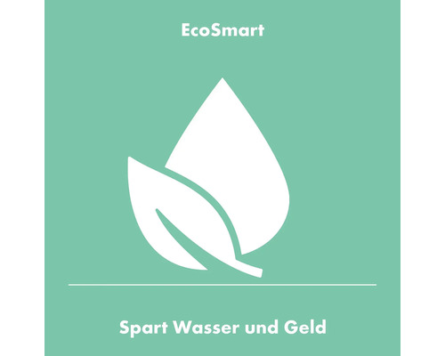 EcoSmart spart Wasser und Geld.