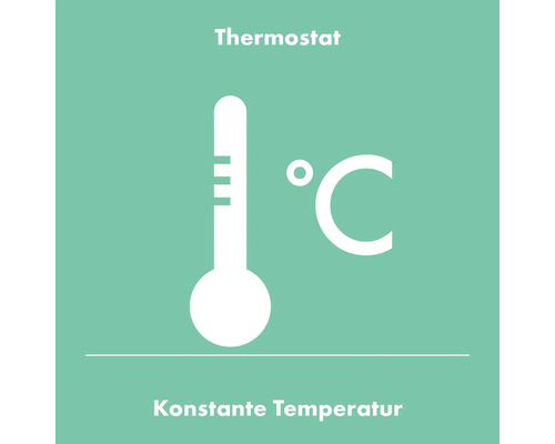 Thermostat-Symbol für konstante Temperatur