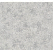 Vliestapete 85727 Natural Opulence by Felix Diener Stein-Optik grau silber
