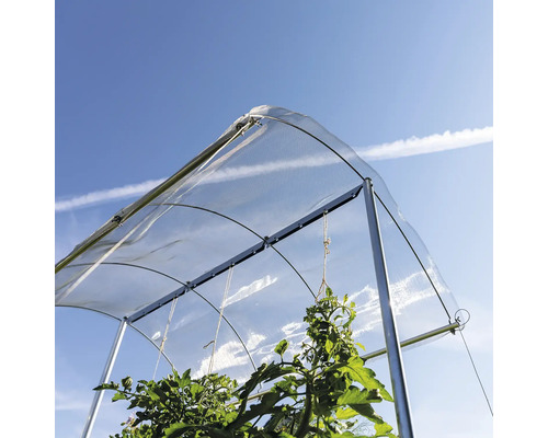Tomatenzelt mit Metallrahmen und Pflanzen