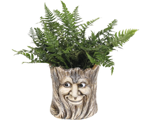Pflanzgefäß mit Gesicht und Farn
