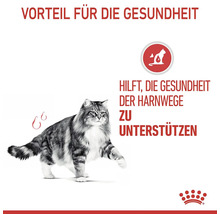 Katze mit Hinweis auf die Unterstützung der Gesundheit der Harnwege