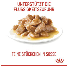 Katzenfutter mit feinen Stückchen in Soße zur Unterstützung der Flüssigkeitszufuhr