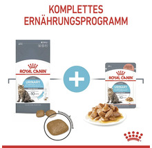 Komplettes Ernährungsprogramm für Katzen mit Royal Canin Urinary Care Trocken- und Nassfutter