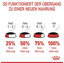 Anleitung zur Futterumstellung für Hunde und Katzen mit Futtermenge pro Tag