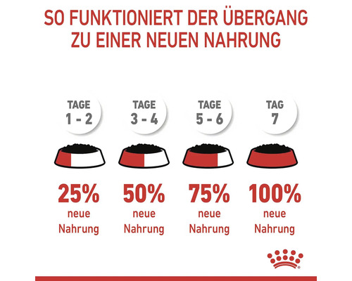 Anleitung zur Futterumstellung für Hunde und Katzen mit Futtermenge pro Tag