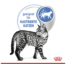 Katze geeignet für kastrierte Katzen