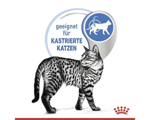 Katze geeignet für kastrierte Katzen