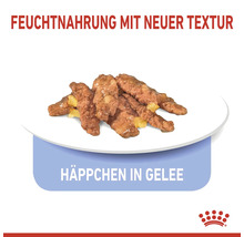Katzenfutter mit neuer Textur und Häppchen in Gelee auf einem Teller