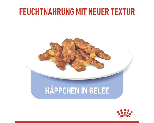 Katzenfutter mit neuer Textur und Häppchen in Gelee auf einem Teller