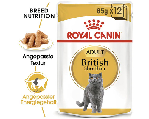 Royal Canin Adult British Shorthair Katzenfutter im 85 Gramm Portionsbeutel, 12er Pack