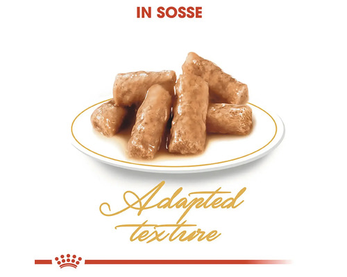 Katzenfutter in Soße auf einem Teller