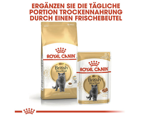 Royal Canin Adult British Shorthair Katzenfutter, Trocken- und Nassfutter