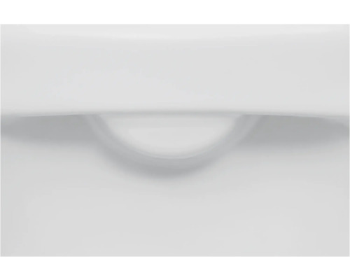 Detailaufnahme eines weißen Spülkastens