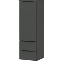 Hochschrank mit einer Tür und zwei Schubladen