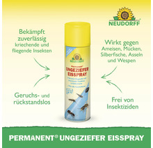 Ungeziefer Eisspray NDF 500 ml