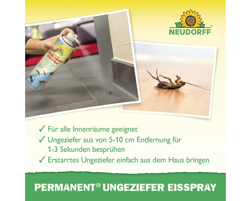 Neudorff Permanent Ungeziefer Eisspray Anwendung und tote Kakerlake