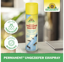 Ungeziefer Eisspray NDF 500 ml