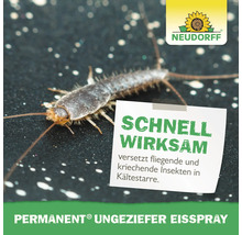 Ungeziefer Eisspray NDF 500 ml