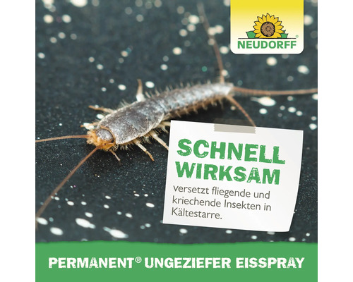 Silberfischchen neben einem Zettel mit dem Text: Schnell wirksam, versetzt fliegende und kriechende Insekten in Kältestarre sowie dem Neudorff Logo und Permanent Ungeziefer Eisspray