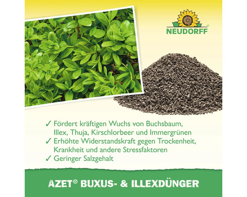 Neudorff Azet Buxus- und Illexdünger zur Förderung des Wachstums von Buchsbaum, Ilex, Thuja, Kirschlorbeer und Immergrünen