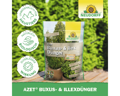 Azet Buxus- und Ilexdünger Packung für Buchsbaum und Stechpalme