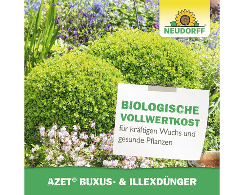 Neudorff Azet Buchsbaum- und Ilexdünger im Gartenbeet mit Bepflanzung
