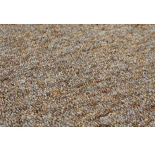 Teppichboden Schlinge Safia beige FB33 500 cm breit (Meterware)