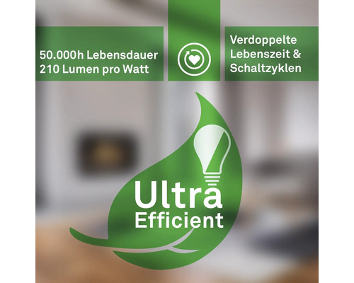 Symbol für hohe Energieeffizienz mit Angaben zu Lebensdauer und Lumen pro Watt