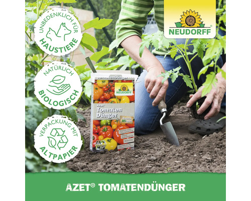 Azet Tomatendünger Packung neben Person beim Einpflanzen einer Tomatenpflanze