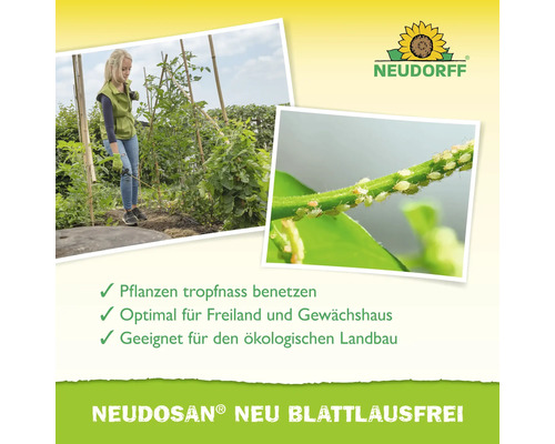 Anwendung von Neudosan Blattlausfrei im Garten und Gewächshaus zur Bekämpfung von Blattläusen auf Pflanzen. Neudorff Logo.