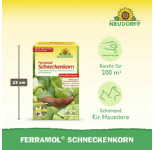 Schneckenkorn Neudorff Ferramol 1 kg