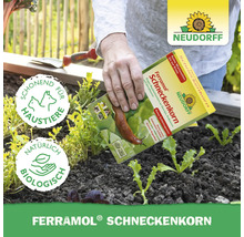 Schneckenkorn Neudorff Ferramol 1 kg