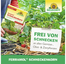 Schneckenkorn Neudorff Ferramol 1 kg
