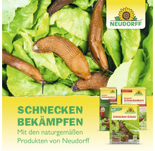Schneckenkorn Neudorff Ferramol 1 kg