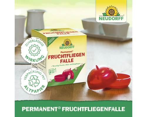 Neudorff Permanent Fruchtfliegenfalle mit zuverlässiger Wirkung und Nachfüllbarkeit