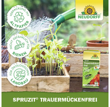 Szene mit jungen Pflanzen, die mit einer Gießkanne bewässert werden und Spruzit Trauermückenfrei von Neudorff