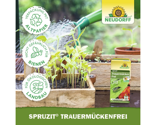 Szene mit jungen Pflanzen, die mit einer Gießkanne bewässert werden und Spruzit Trauermückenfrei von Neudorff