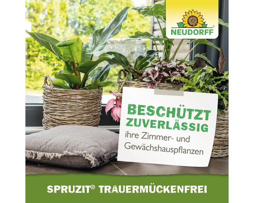 Zimmerpflanzen in Körben neben einem Kissen, mit Informationen zum Schutz vor Trauermücken und Neudorff Logo