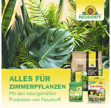 Neudorff Produkte für Zimmerpflanzen mit Erde, Dünger und Gelb-Sticker zwischen Zimmerpflanzen