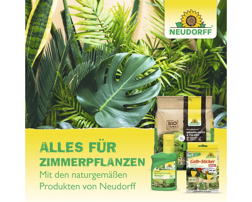 Neudorff Produkte für Zimmerpflanzen mit Erde, Dünger und Gelb-Sticker zwischen Zimmerpflanzen