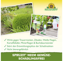 Neudorff Logo. Produktbild von Spruzit Neem Gemüse Schädlingsfrei mit Anwendungsbeispielen im Garten.